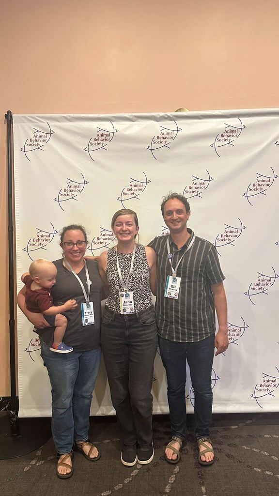 Jana, Tracy, Eli, and Asa all attend and give talks at the Animal Behavior Society meeting (Asa's talk was not on the official schedule)