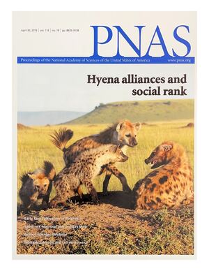 The April 30, 2019 cover of PNAS, headlined &ldquo;Hyena alliances and social rank,&rdquo; showing hyenas greeting one another on open grassland